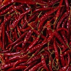 Red Chilli