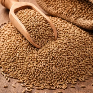 Cumin Seed