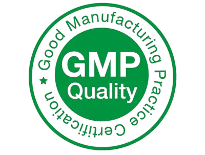 gmp-removebg-preview