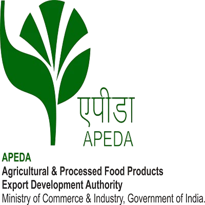 logo5-removebg-preview