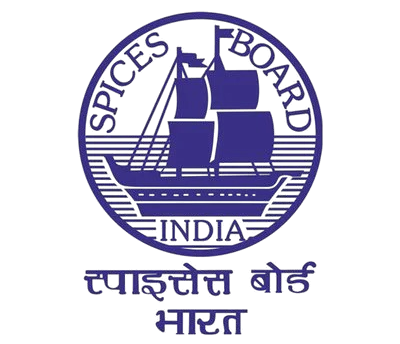 spice-removebg-preview