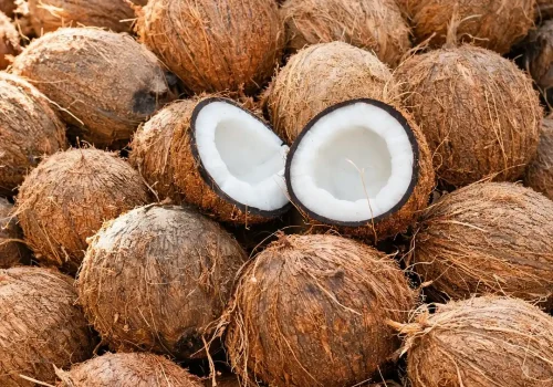 Coconut