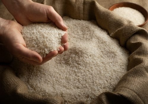 Human,Hands,Holding,Handful,Of,Rice,Over,Burlap,Sack